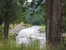 Lochsa River from Hwy 12.