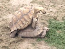 This was Wednesday ,I wanted to post it then, for the laugh.