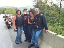 Hawks nest last year.