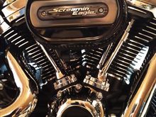 ....and the ventilator I recently put on.  Can't ride, got play. Lol