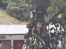 Tree of death…ha ha. Shame is what it’s called although 