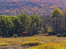 Autumn in the Catskills. 