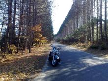 Amazing road in Quebec