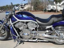 2003 VROD Harley Radical Paint #81/200