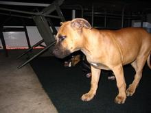 IMG 0247