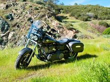2010 Fat Bob