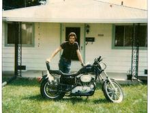'85 H-D Sportster XLX