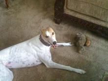 Saucy 3 years old 2012