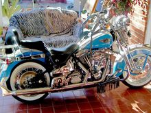 Oh yeah, she does look good with the sunshine on her!! :-)