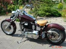 Softail's evolution (6)