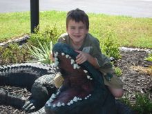 florida 02 043