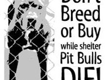 dont buy