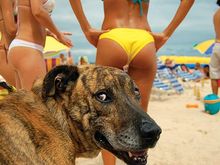 me at beach