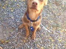 One of the few times you see Jax with his ears down.