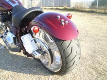 THE ROCK 1 17 2009 006