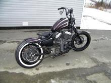 Sportster Choppin Bastard