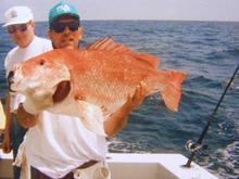 OB 37# snapper