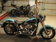 Apes, no whitewalls yet