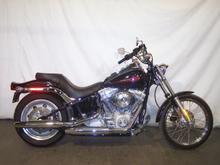 Softail Darwinism