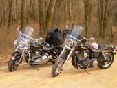 At Pickwick Lake 3-08