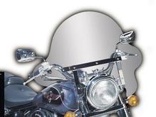 Windshield