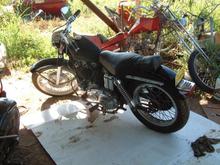 sportster 022