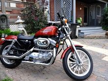 Harley1 small