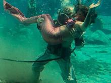 Playing with the mermaids A