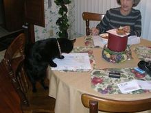 wife and son eating lunch1