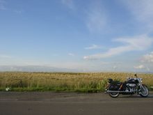 FENWICK MOORS SCOTLAND 1