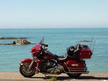2010 Hog Nationals 046 (Large)
On the Kaikoura Coast, South Island