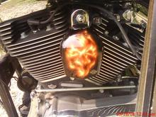 Skull in Flames horn cover