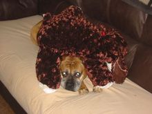 IMG 1137