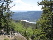 Little bit of the local pond