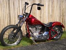 updated bike pics 007