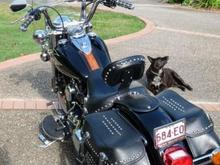 Black Betty