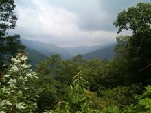 Cherohala View July 10'