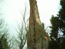 Garden of the Gods 10