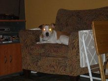 Ghostly Girl Dag