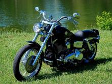 New Bike Pic 6