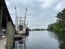 Shrimper