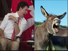 
That's True-doh on the left! 