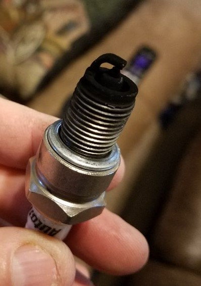 Spark plugs fouling. Dry carbon? pictures - Harley Davidson Forums