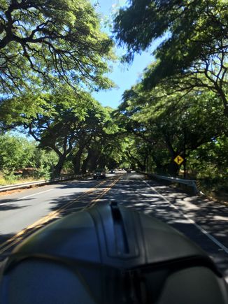 Upcountry (my fav area in HA to ride)