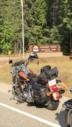 Today was a good day to scoop this one gloves and helmet on bike just cause I can 👊