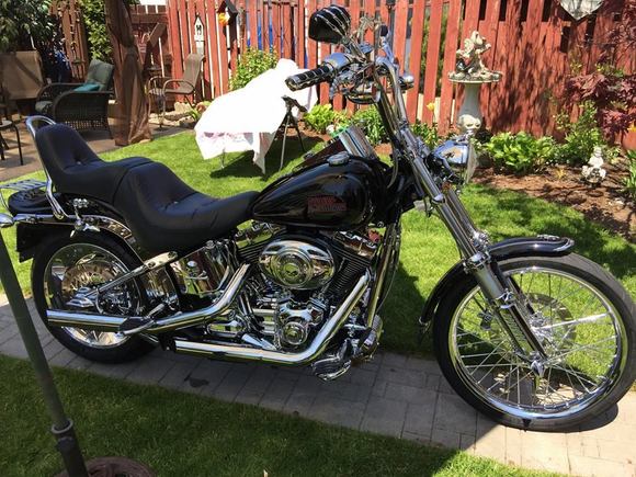 08 Custom Softail