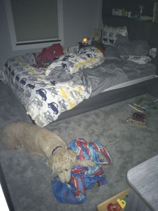 Guarding my grandson. 