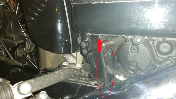up rear of frame into nest