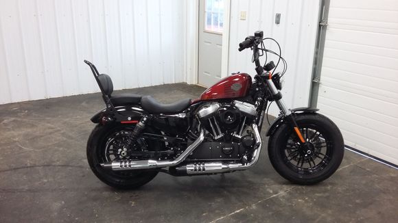 Got her cleaned up today