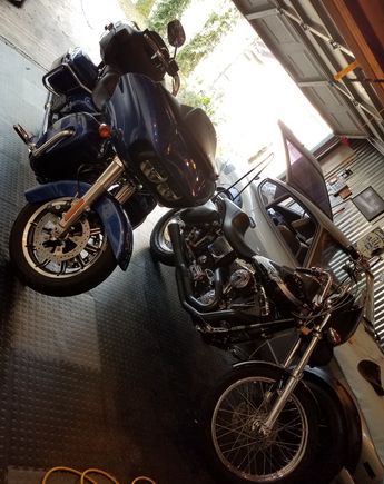 And my 3 ladies together.